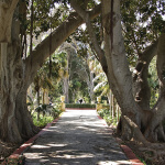 San Anton Gardens